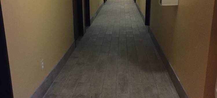 拉顿速8酒店(Super 8 by Wyndham Raton)图片