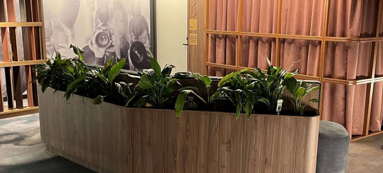 Peppers Gladstone图片