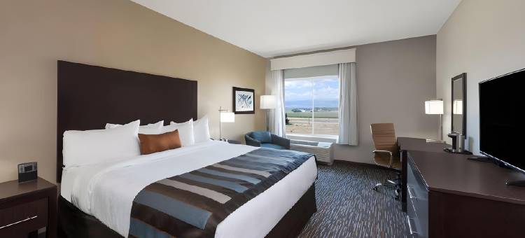 城堡里贾纳酒店和套房(Travelodge by Wyndham Regina)图片