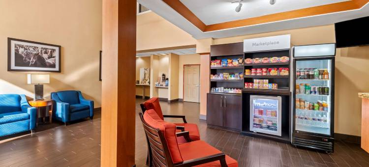 罗阿诺克-北沃斯堡舒适全套房酒店(Comfort Suites Roanoke - Fort Worth North)图片