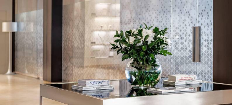 AC酒店- 圣塞瓦斯蒂安(AC Hotel San Sebastian de Los Reyes)图片