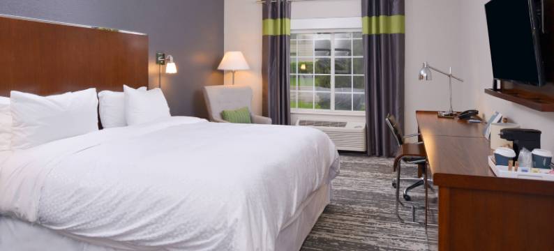 福朋喜来登酒店-芒特普罗斯佩克特奥黑尔(Four Points by Sheraton Mount Prospect O’Hare)图片