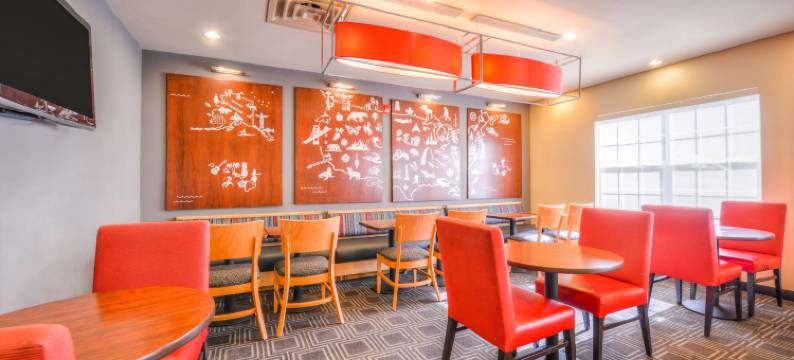 阿伦德尔米尔斯巴尔的摩国际机场TownePlace Suites酒店(TownePlace Suites Arundel Mills BWI Airport)图片