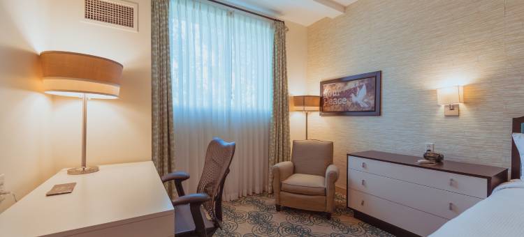 叙拉古斯凯勒酒店，希尔顿启缤精选(Hotel Skyler Syracuse, Tapestry Collection by Hilton)图片