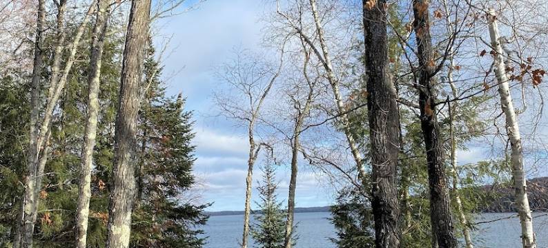 Cozy Retreat: Unwind in a cozy cabin on the shores of Kentuck Lake图片