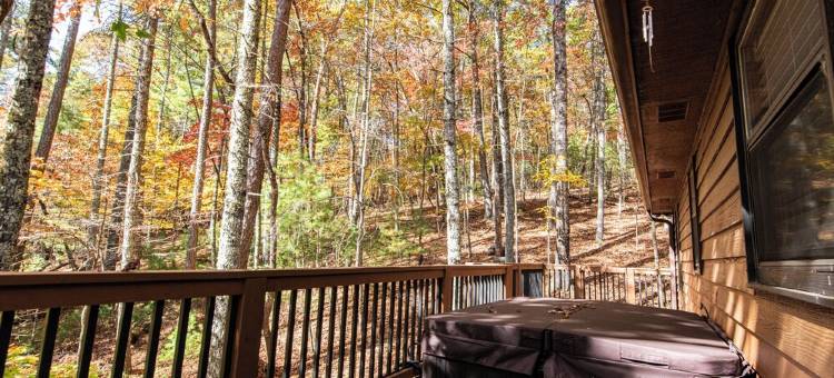 徒步/垂钓、托科阿河；热水浴缸、宠物友好山间木屋(Mountain Cabin Near Hikes/Fishing; Hot Tub, Dog-Friendly, Toccoa River)图片
