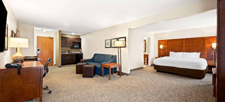 迪凯特-福赛斯舒适套房酒店(Comfort Inn & Suites Decatur-Forsyth)图片