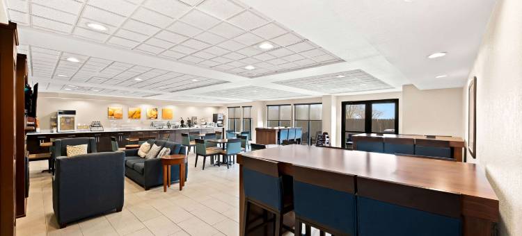 迪凯特-福赛斯舒适套房酒店(Comfort Inn & Suites Decatur-Forsyth)图片