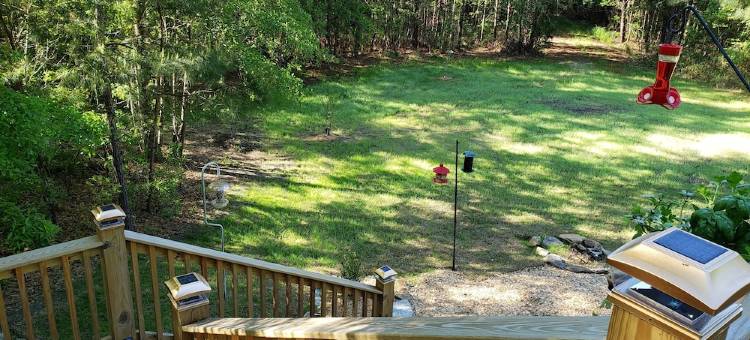 Luxury Equestrian Estate Resort near Charleston and Kiawah图片