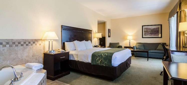 舒适套房酒店(Comfort Suites Gothenburg)图片