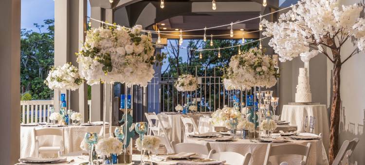 多拉多马尔海滩度假村希尔顿安泊酒店(Embassy Suites by Hilton Dorado del Mar Beach Resort)图片