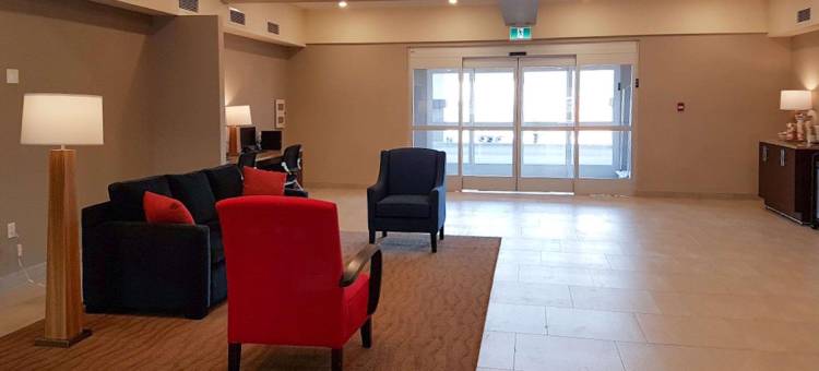 舒适套房酒店(Comfort Inn & Suites)图片