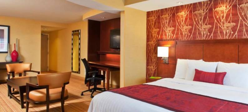 水牛城阿默斯特大学区万怡酒店(Courtyard Buffalo Amherst/University)图片