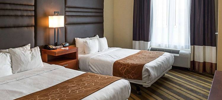 舒适套房酒店 - 近丹吉尔奥特莱斯(Comfort Suites Near Tanger Outlet Mall)图片