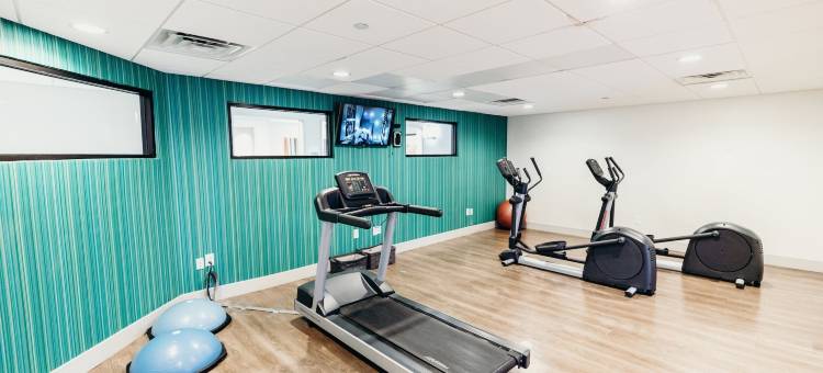 洲际酒店集团智选假日酒店亚特兰大东北I-85克莱尔蒙特(Holiday Inn Express Atlanta NE - I-85 Clairmont)图片