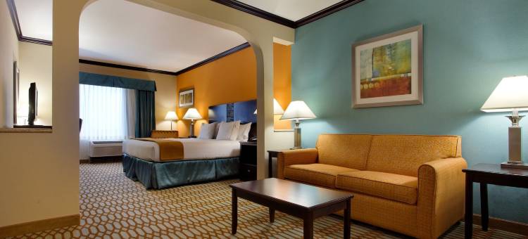 智选假日套房酒店科珀斯克里斯蒂，波特兰(Holiday Inn Express & Suites CORPUS CHRISTI-PORTLAND by IHG)图片