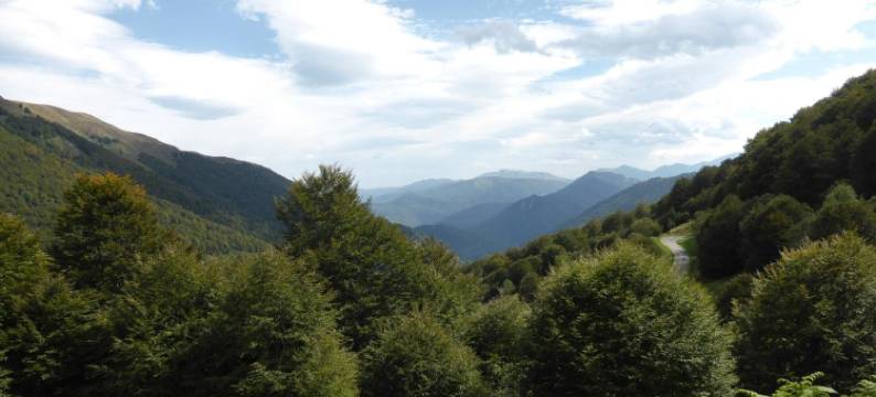 贝德贝雷克法斯特拜客斯普林尼斯住宿加早餐旅馆(Bedbreakfastbikespyrenees)图片