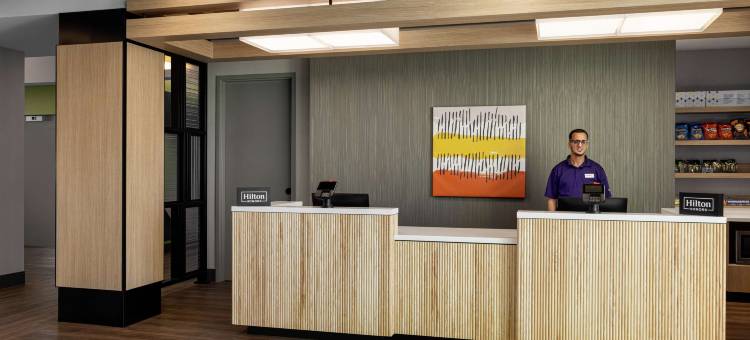 拉斯维加斯机场希尔顿Spark酒店(Spark by Hilton Las Vegas Airport)图片