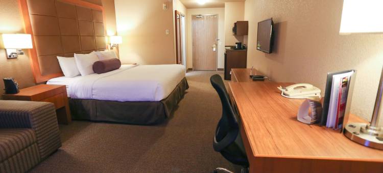卡尔加里机场温德姆戴斯酒店(Days Inn by Wyndham Calgary Airport)图片