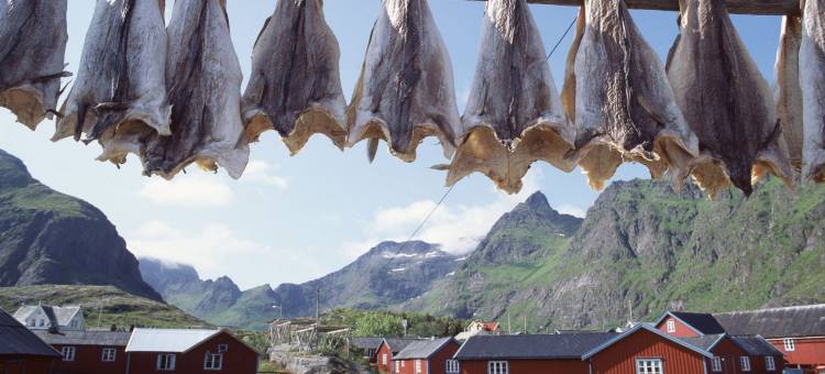 Å Rorbuer - by Classic Norway Hotels图片