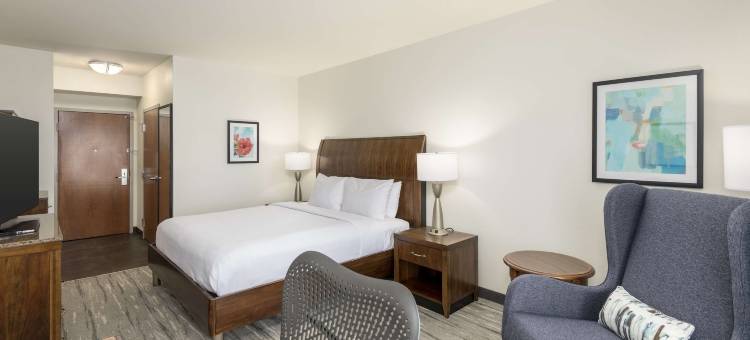 博卡－拉顿希尔顿花园酒店(Hilton Garden Inn Boca Raton)图片