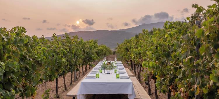 霍卡罗卡的佩雷蒂庄园(Domaine de Peretti Della Rocca)图片