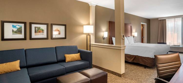 舒适套房酒店(Comfort Inn & Suites)图片