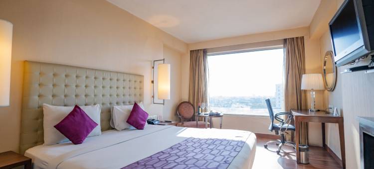 齐普尔中心巴尼公园皇家兰花酒店(Royal Orchid Central Jaipur, Bani Park)图片