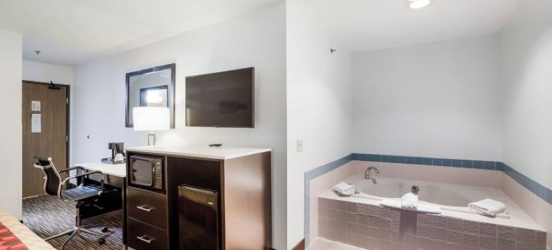 密歇根州夏洛特美洲最佳价值酒店(Americas Best Value Inn Charlotte)图片