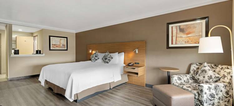 新港梅萨贝斯特韦斯特优质酒店(Best Western Plus Newport Mesa Inn)图片