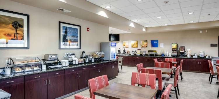 堪萨斯城-邦纳斯普林斯舒适酒店(Comfort Inn Bonner Springs Kansas City)图片