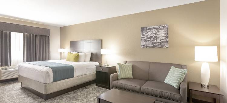 图拉丁-南奥斯威戈湖舒适套房酒店(Comfort Inn & Suites Tualatin - Lake Oswego South)图片