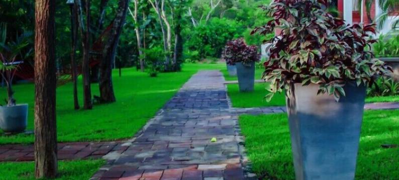 维维拉酒店(Hotel Viverra)图片