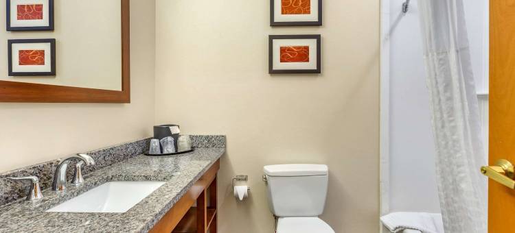 底特律绍斯盖特舒适套房(Comfort Suites Southgate-Detroit)图片