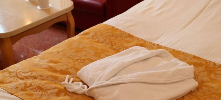 格兰德美好酒店-大阪丰中南(Hotel Grand Fine Toyonaka Minami)图片