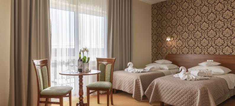 布林斯兹泰恩水疗休养酒店(Bursztyn Medical Spa & Wellness)图片