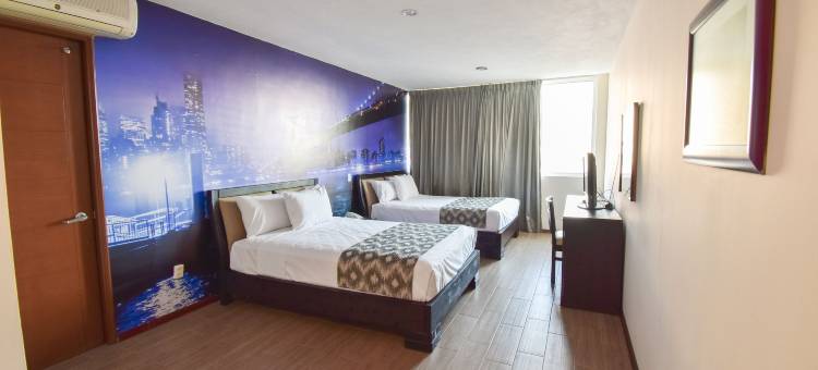 托特姆瓜达拉哈拉酒店(Hotel TÖTEM Guadalajara)图片