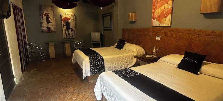 奥林匹亚历史中心酒店(Hotel Olimpia Centro Histórico)图片