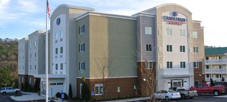 伯明翰南万豪TownePlace酒店(TownePlace Suites Birmingham South)图片