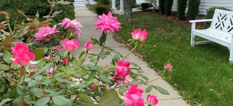 泰伯酒店(Taber Inn)图片