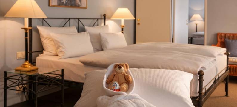 德雷斯顿艾尔贝弗伦萨酒店(Hotel Elbflorenz Dresden)图片