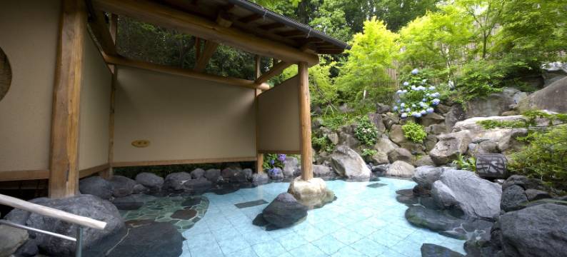 雄琴温泉汤元馆旅馆(Yumotokan)图片