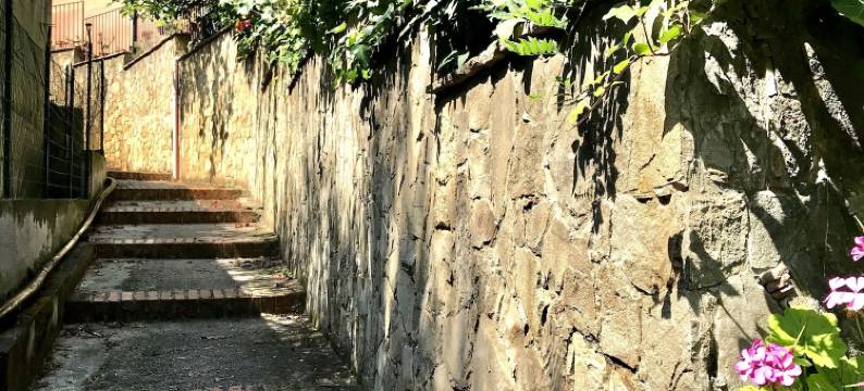 Ma&Mi宾馆(Ma&Mi Guest House)图片