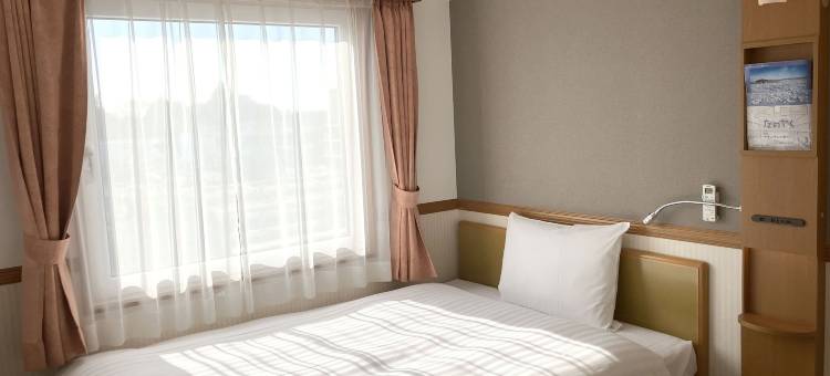 东横 INN 守谷站前(Toyoko Inn Moriya Ekimae)图片