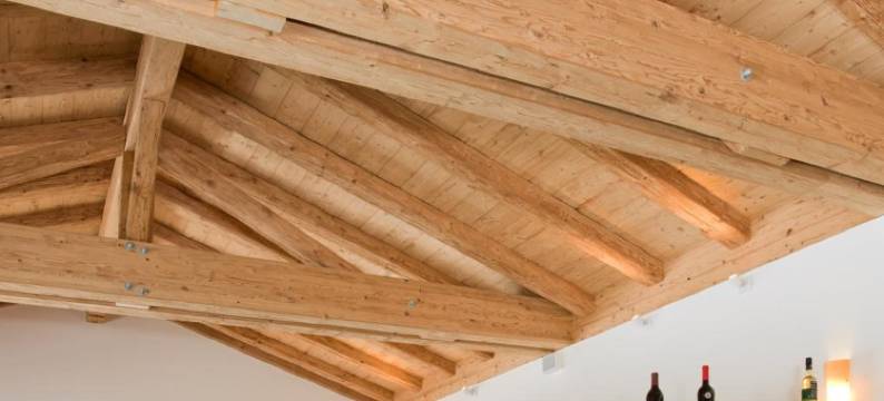 沼泽酒店(Landhotel Moorhof)图片