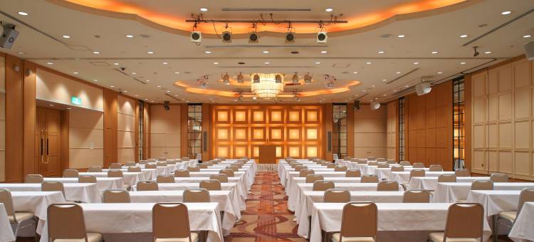 Alpico广场酒店(Alpico Plaza Hotel)图片