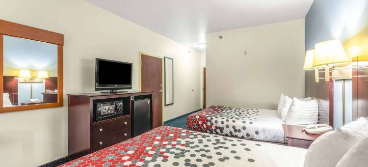 小石城北部普里查德路伊克诺旅馆及套房(Econo Lodge Inn & Suites Pritchard Road North Little Rock)图片
