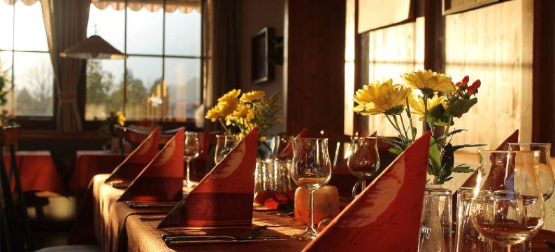 施罗斯布里克酒店(Hotel Kraftquelle Schlossblick)图片