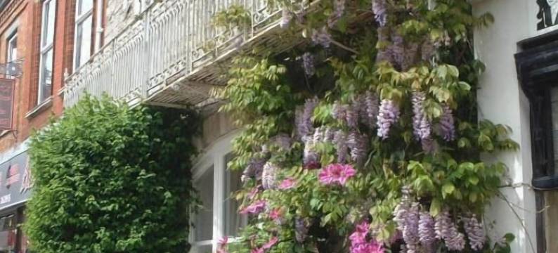 卡斯特布里奇旅馆(The Casterbridge)图片