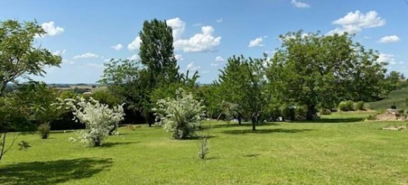 勒马斯雷奥莱(Le Mas Réolais)图片